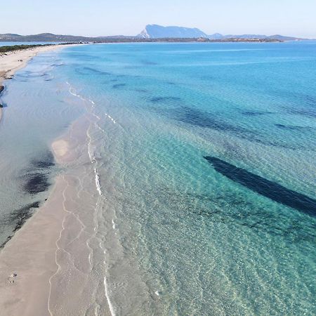 Iss Travel, Pedra Rosa 2 Bedroom Apartments With Private Terrace And Air Conditioning San Teodoro  Extérieur photo